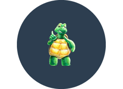  Géotortue